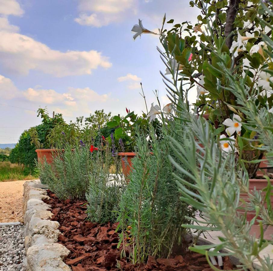 Le Vigne Di Annalisa Sweet Relax Rooms In Unesco Prosecco D.O.C.G. Farra di Soligo Exterior foto